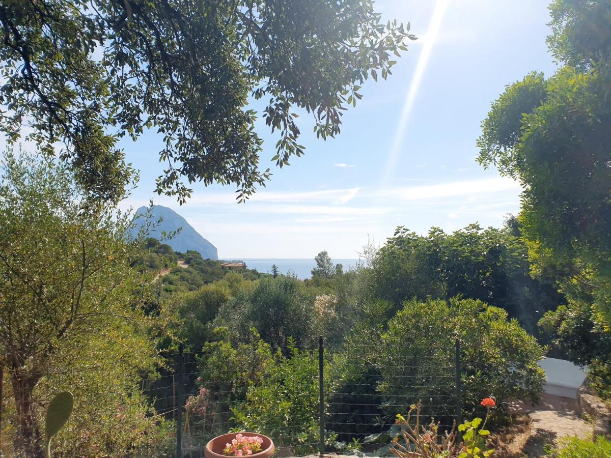 Appartamento Vasiliki Porto San Paolo  Exterior foto